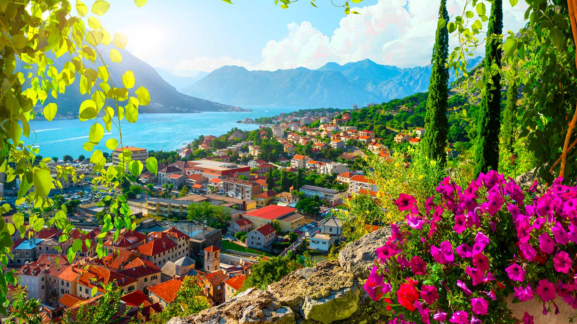 Tour de ville de Kotor avec dégustation d’huile d’olive