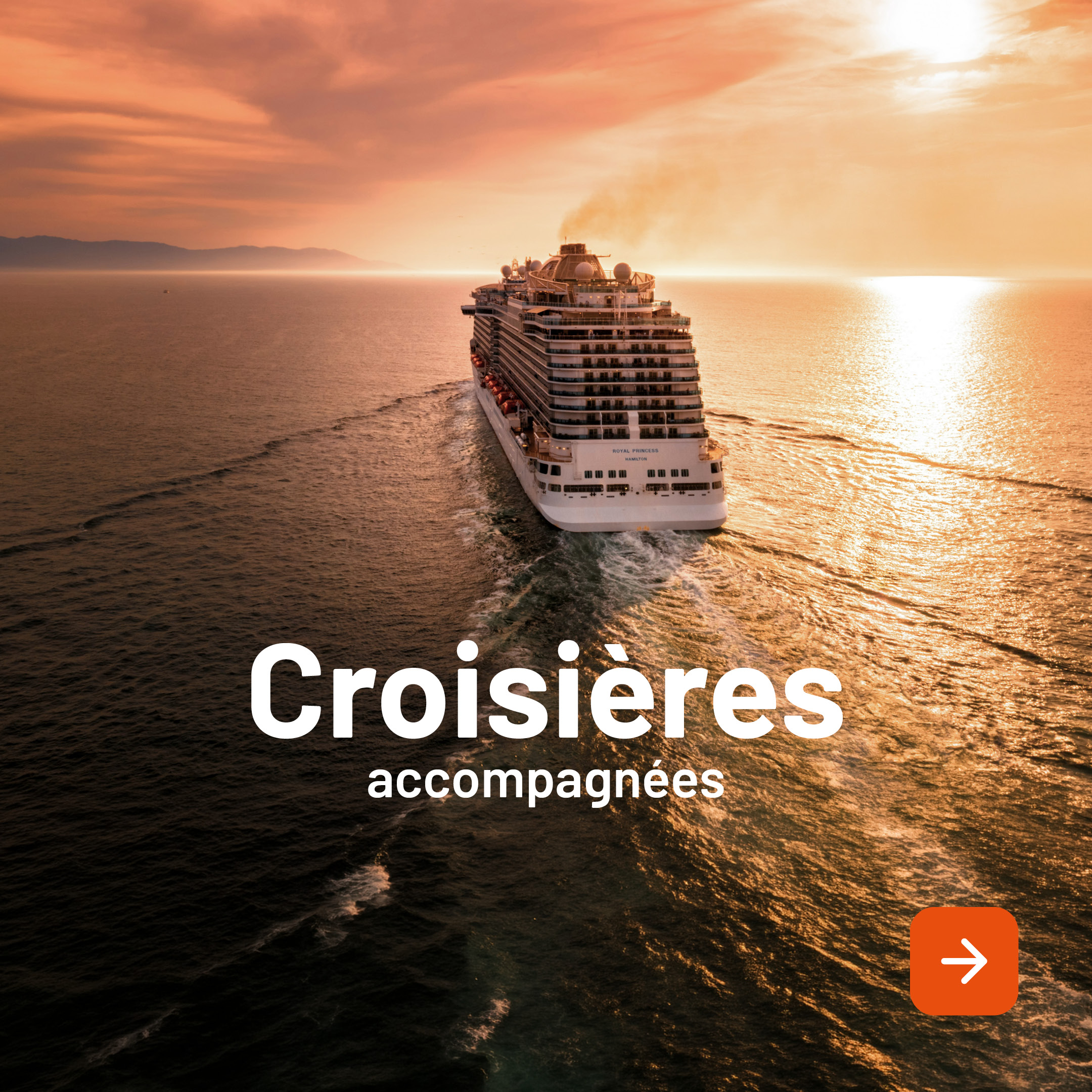 Croisières accompagnées