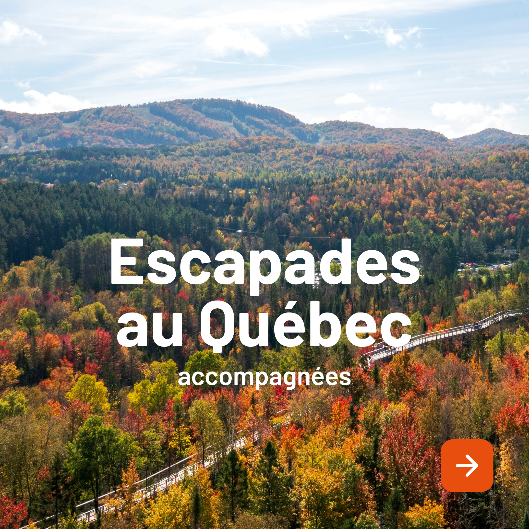 Escapades au Québec accompagnées