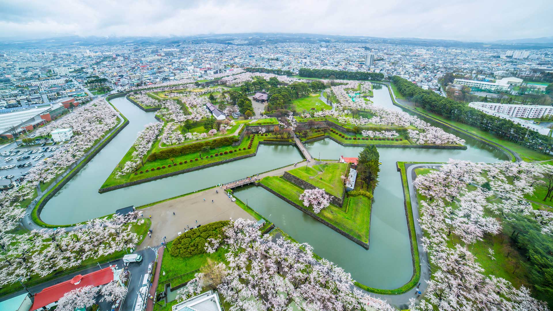Visite d’un marché et du site du fort Goryokaku