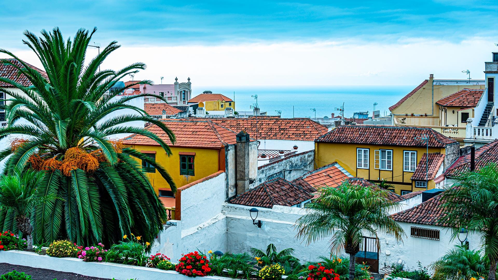 Le meilleur de Tenerife