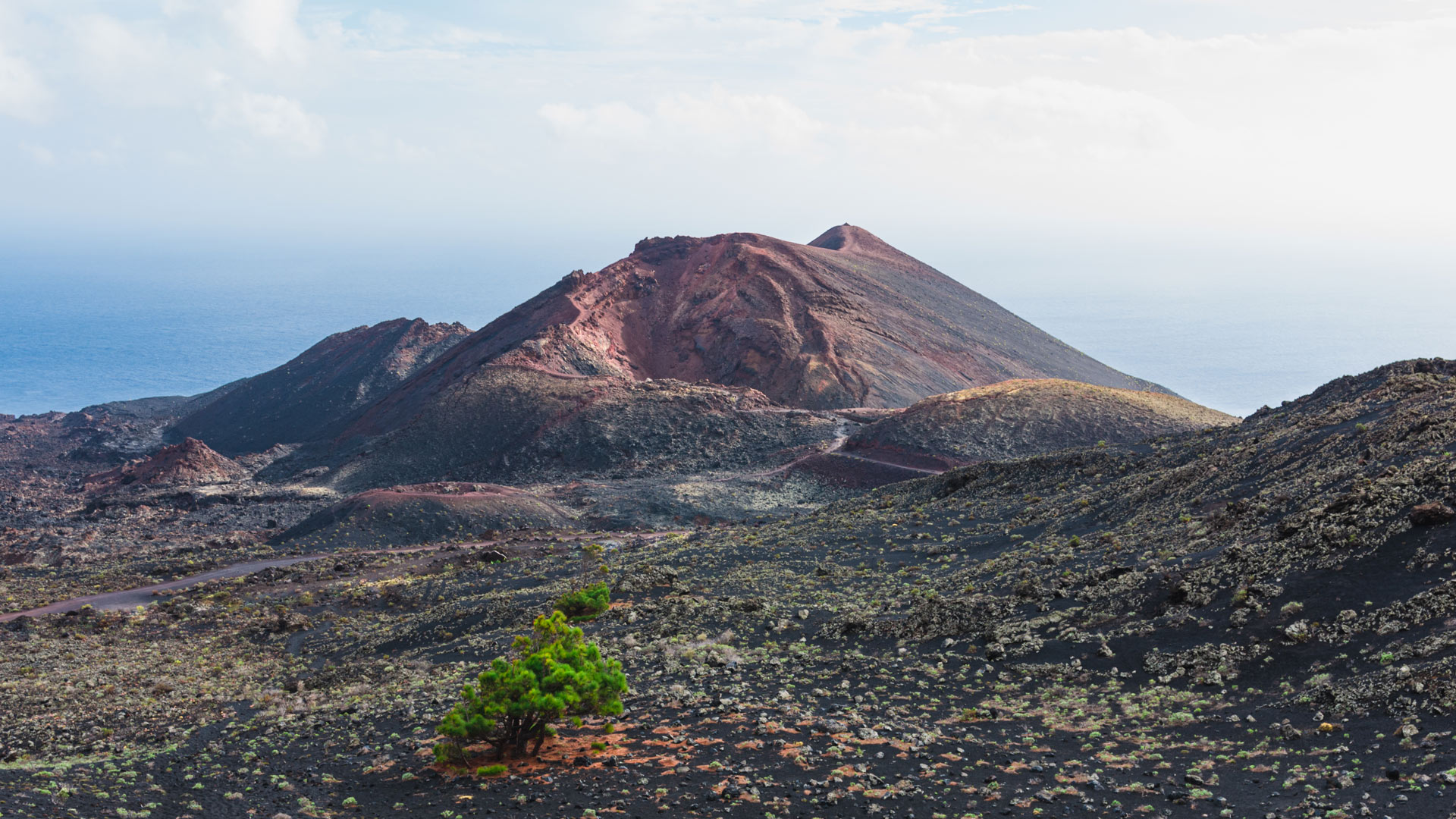 Volcans et vignoble à Santa Cruz