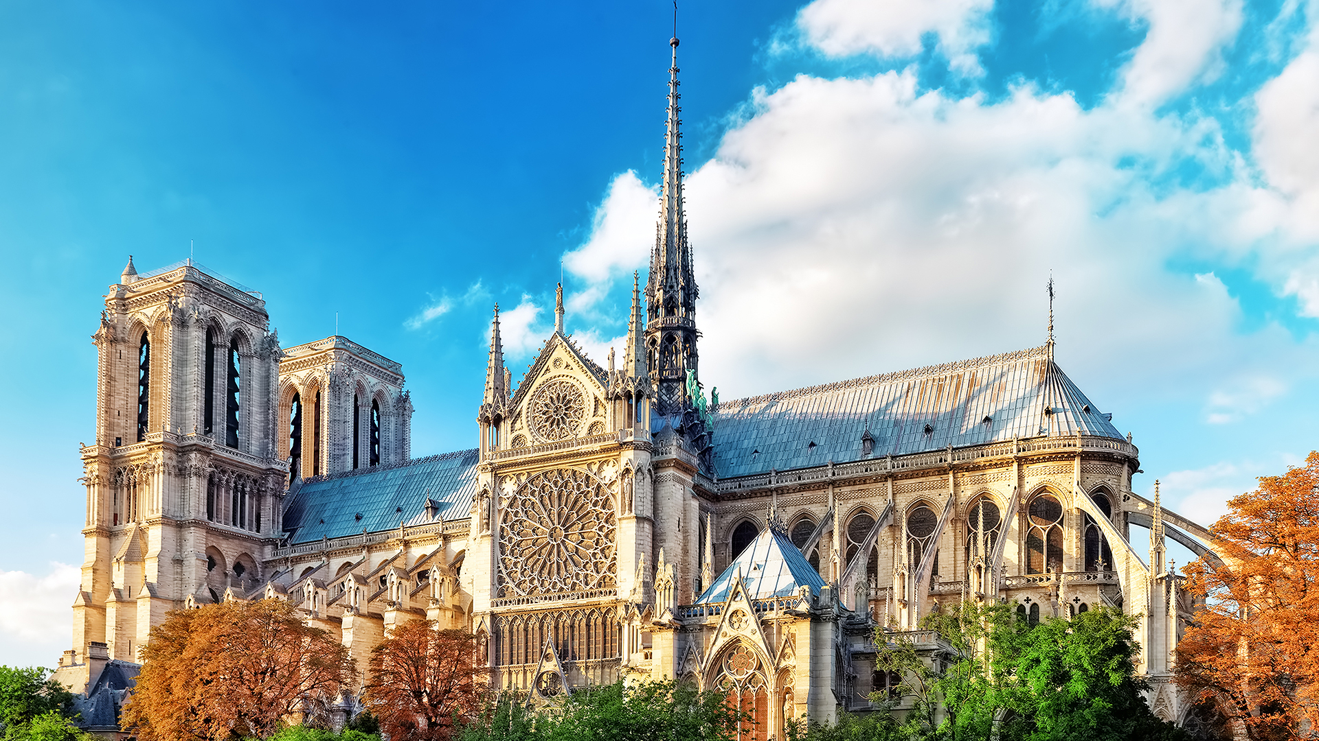 Visite guidée de la Cathédrale Notre-Dame (2hrs)