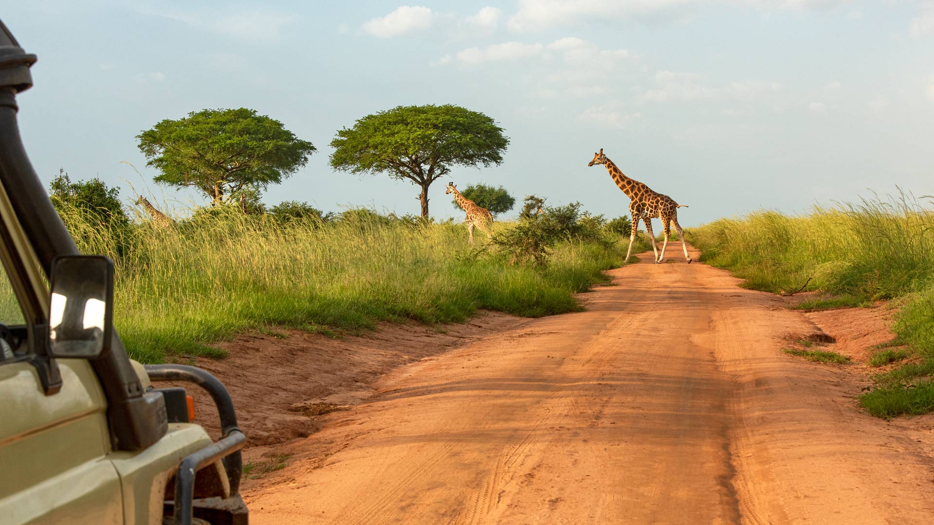 Excursion Image