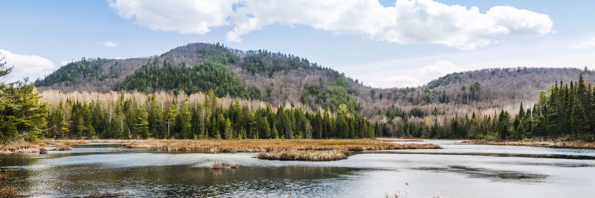 Forêt Boréale et Chute du Niagara