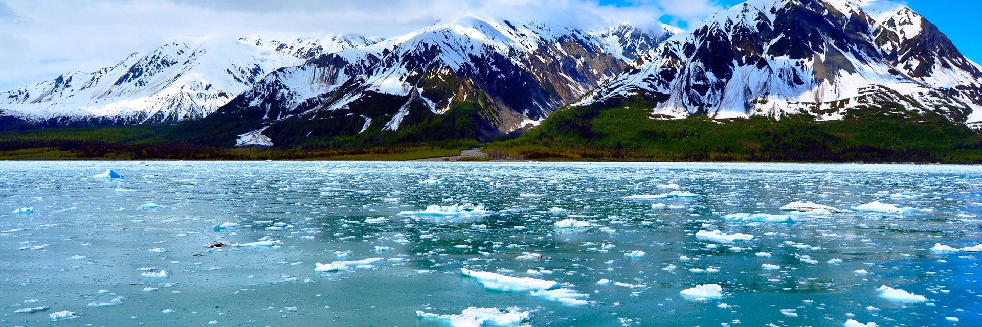 Croisière en Alaska