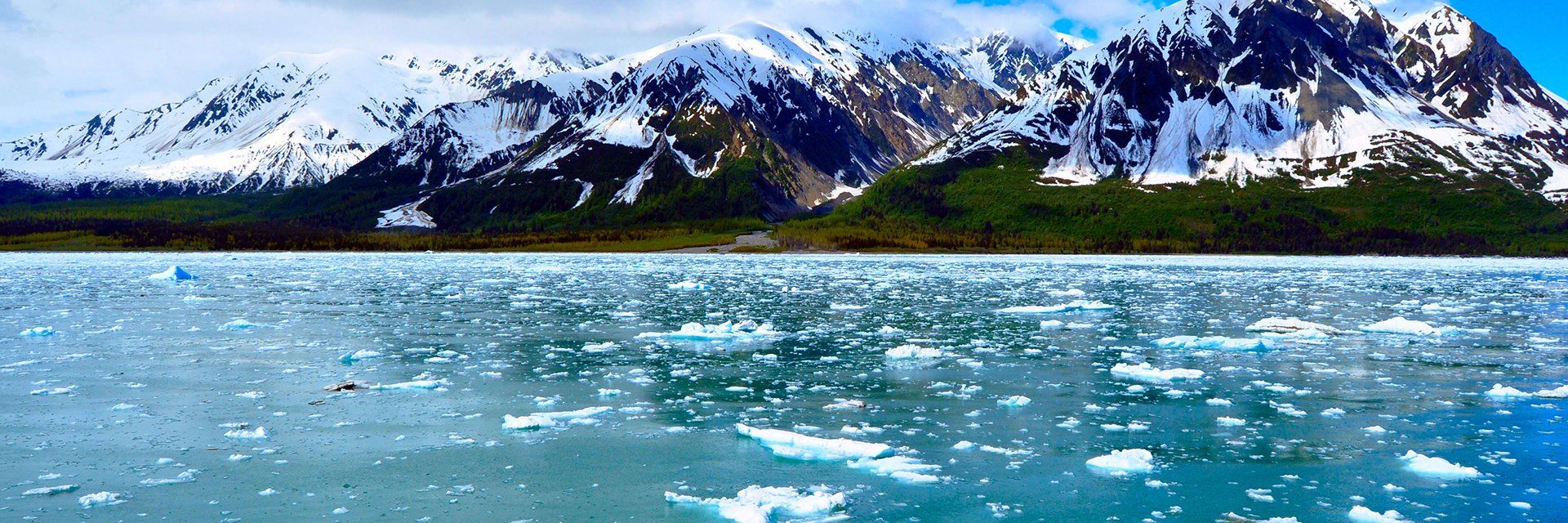 Circuit et croisière en Alaska