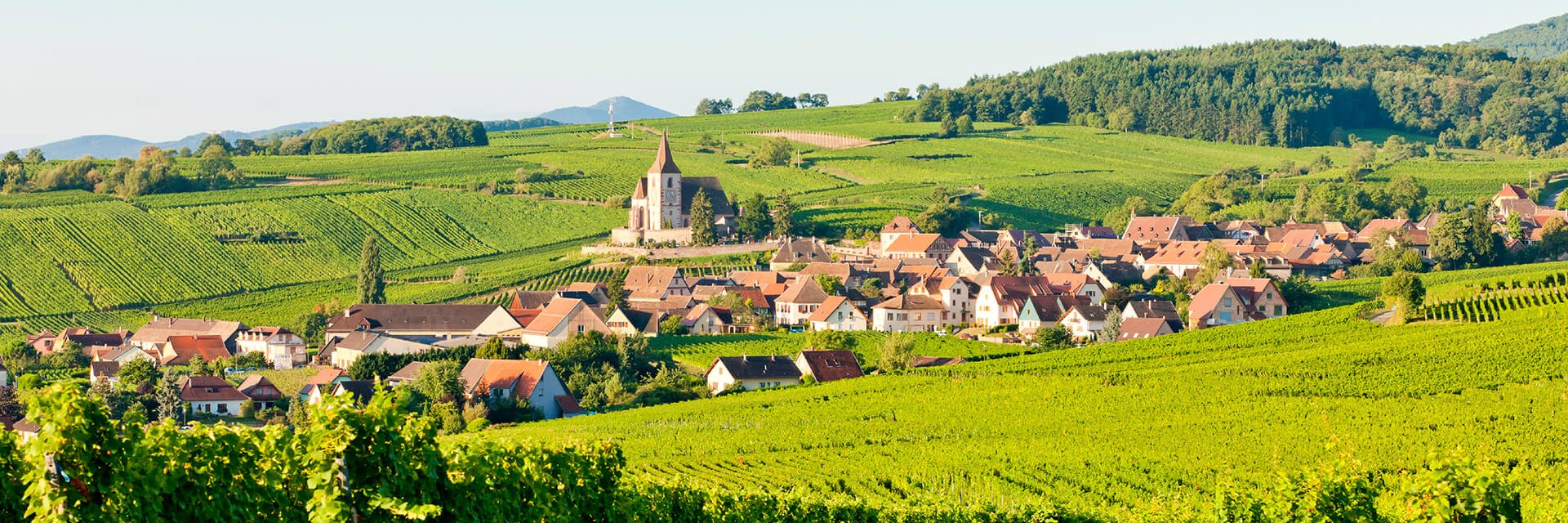 Randonnée pédestre en Alsace