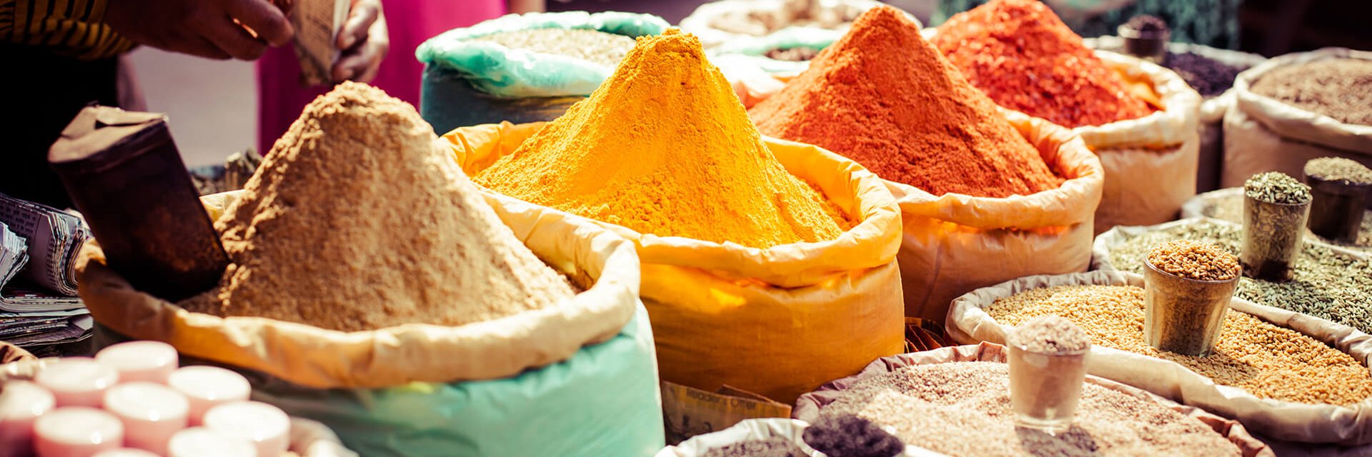 Splendeurs de l'Inde du Nord