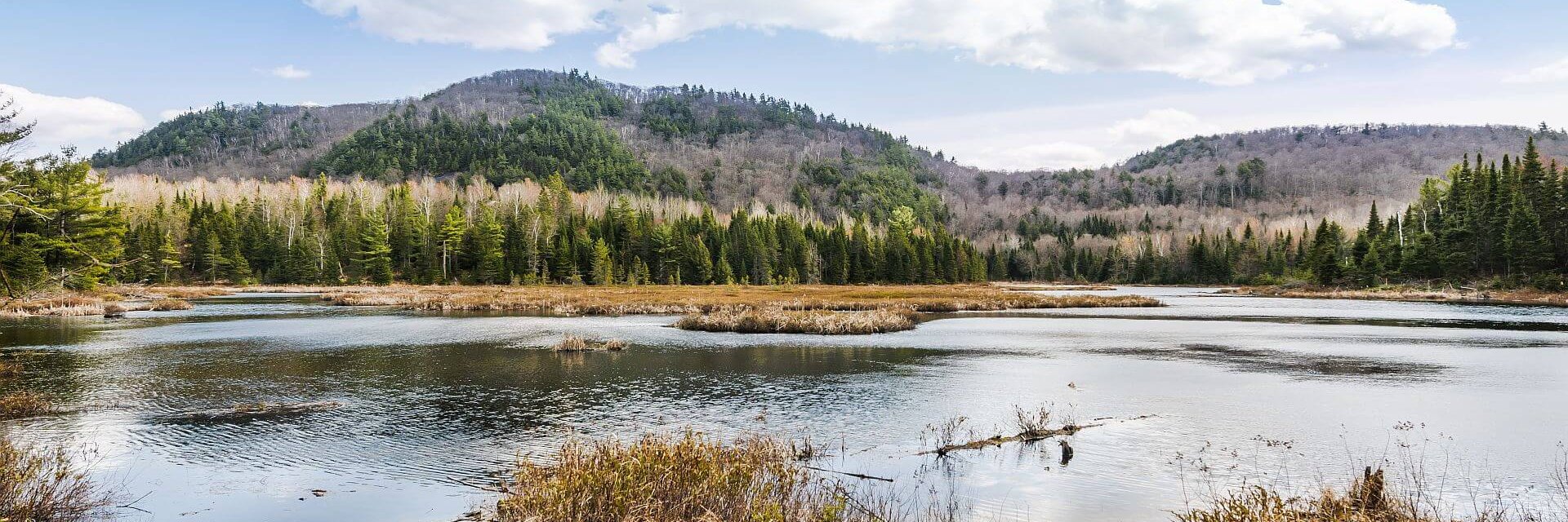 Abitibi-Témiscamingue et Baie-James