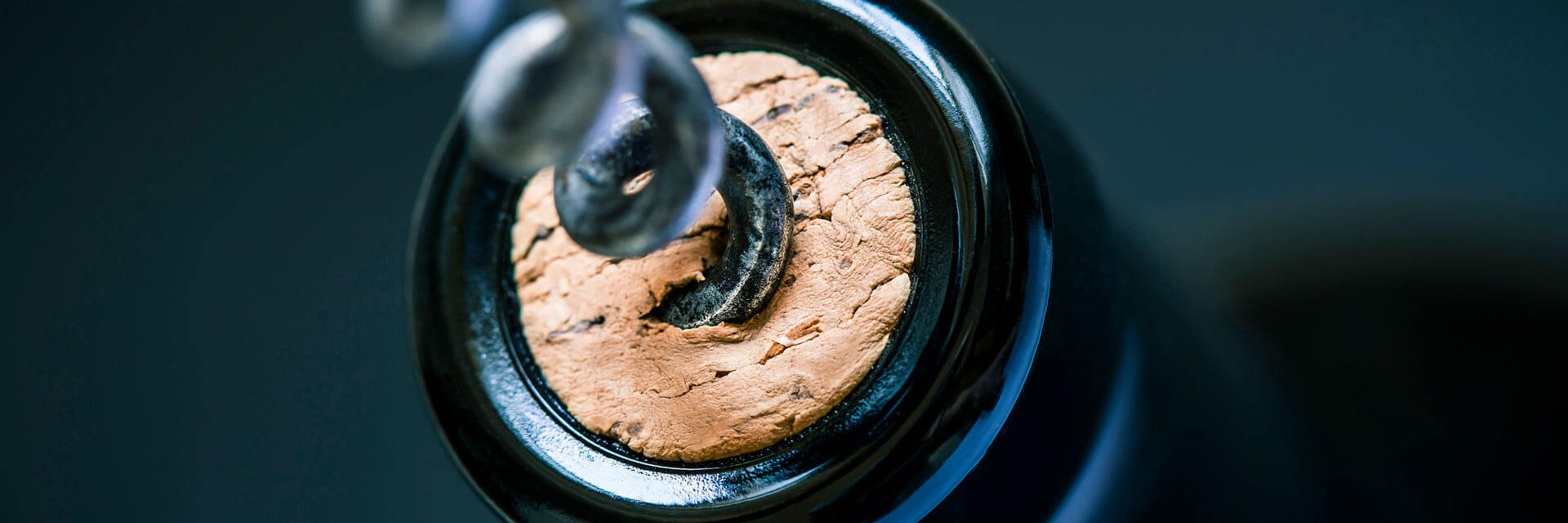 Grand tour et saveurs du Portugal