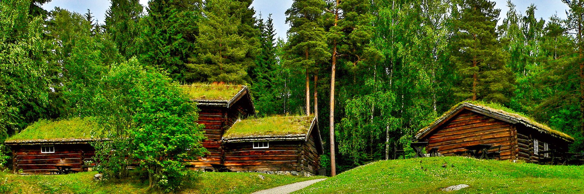 Scandinavie
