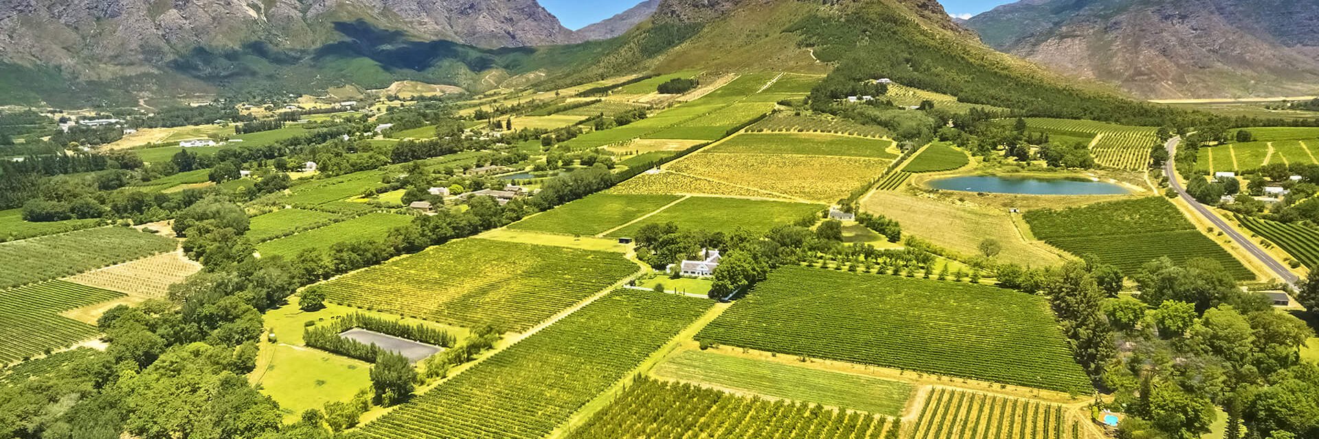 Le meilleur de l'Afrique du Sud