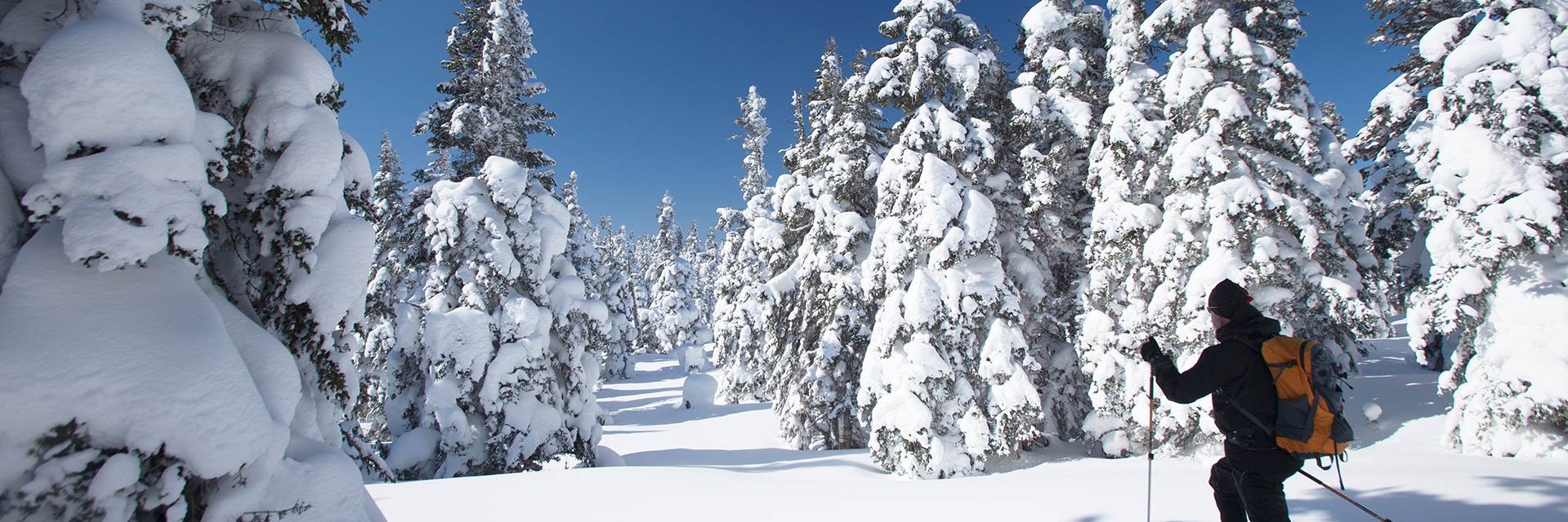 Gros luxe en nature: Le parc national de la Gaspésie - Saison hivernale