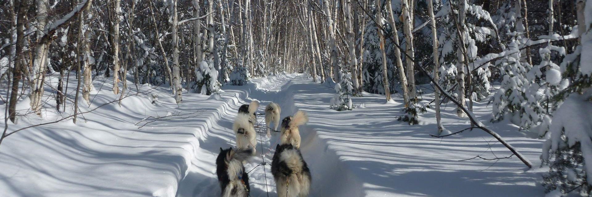 Séjour nature et adrénaline dans les Laurentides