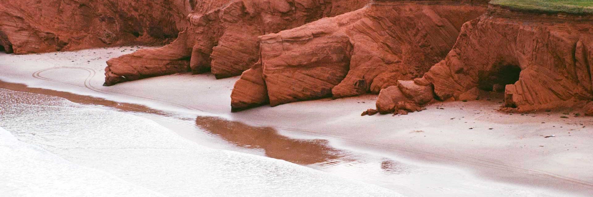Fous des Îles de la Madeleine