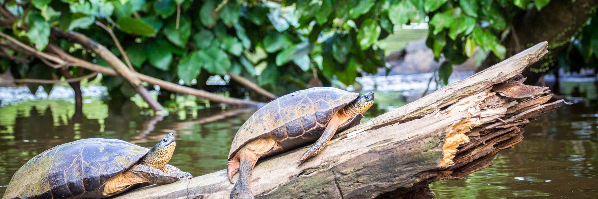 Les incontournables du Costa Rica