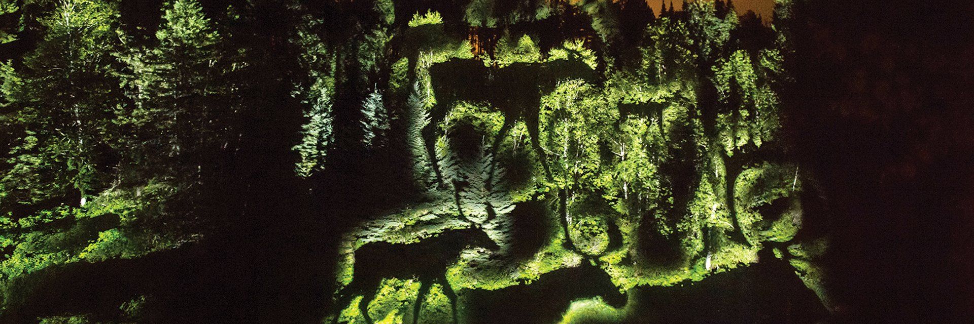 Anima Lumina