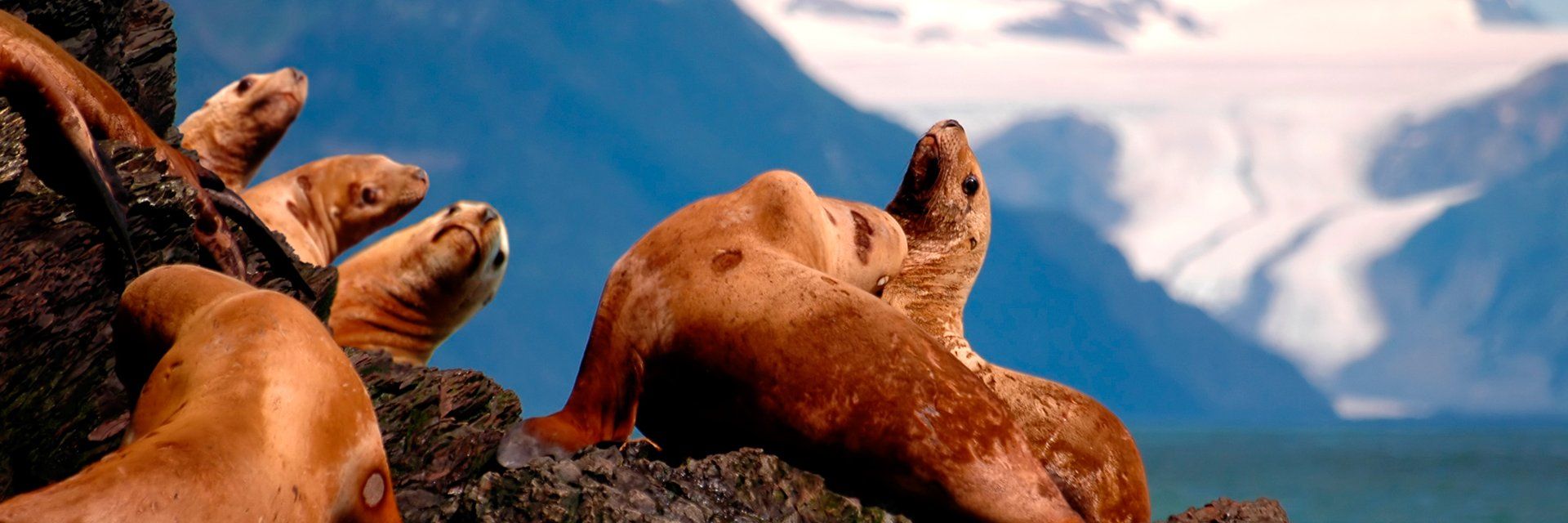 Yukon et Alaska