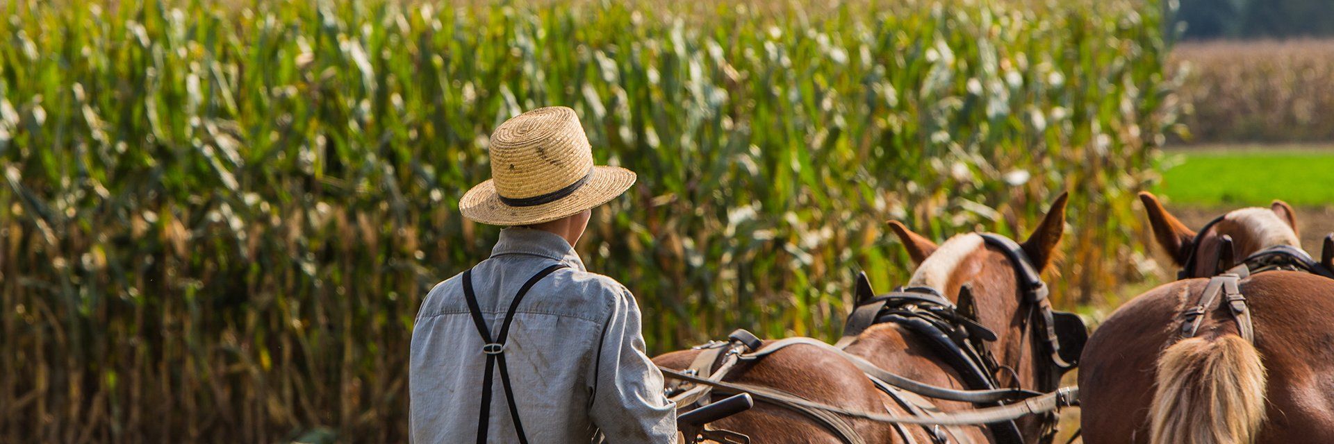 Philadelphie et le pays des Amish - Groupe Voyages Québec | Leader de l ...