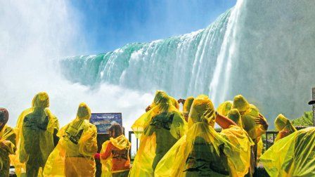 Forêt Boréale et Chute du Niagara