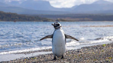 Croisière en Antarctique