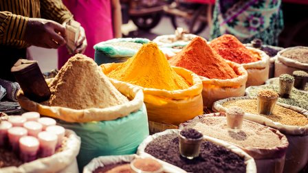 Splendeurs de l'Inde du Nord