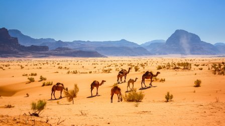 Israël et Jordanie