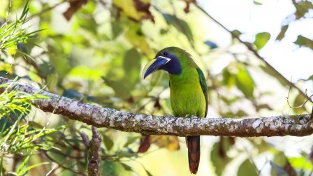 Les incontournables du Costa Rica