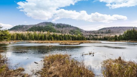Abitibi-Témiscamingue et Baie-James