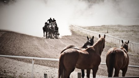 Escapade dans l’Ouest canadien incluant le Stampede