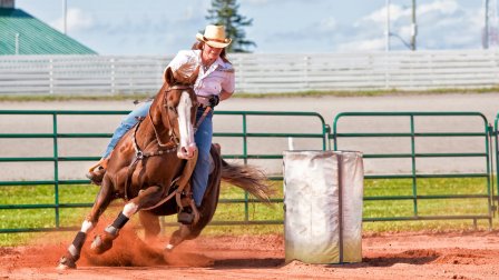 Escapade dans l’Ouest canadien incluant le Stampede