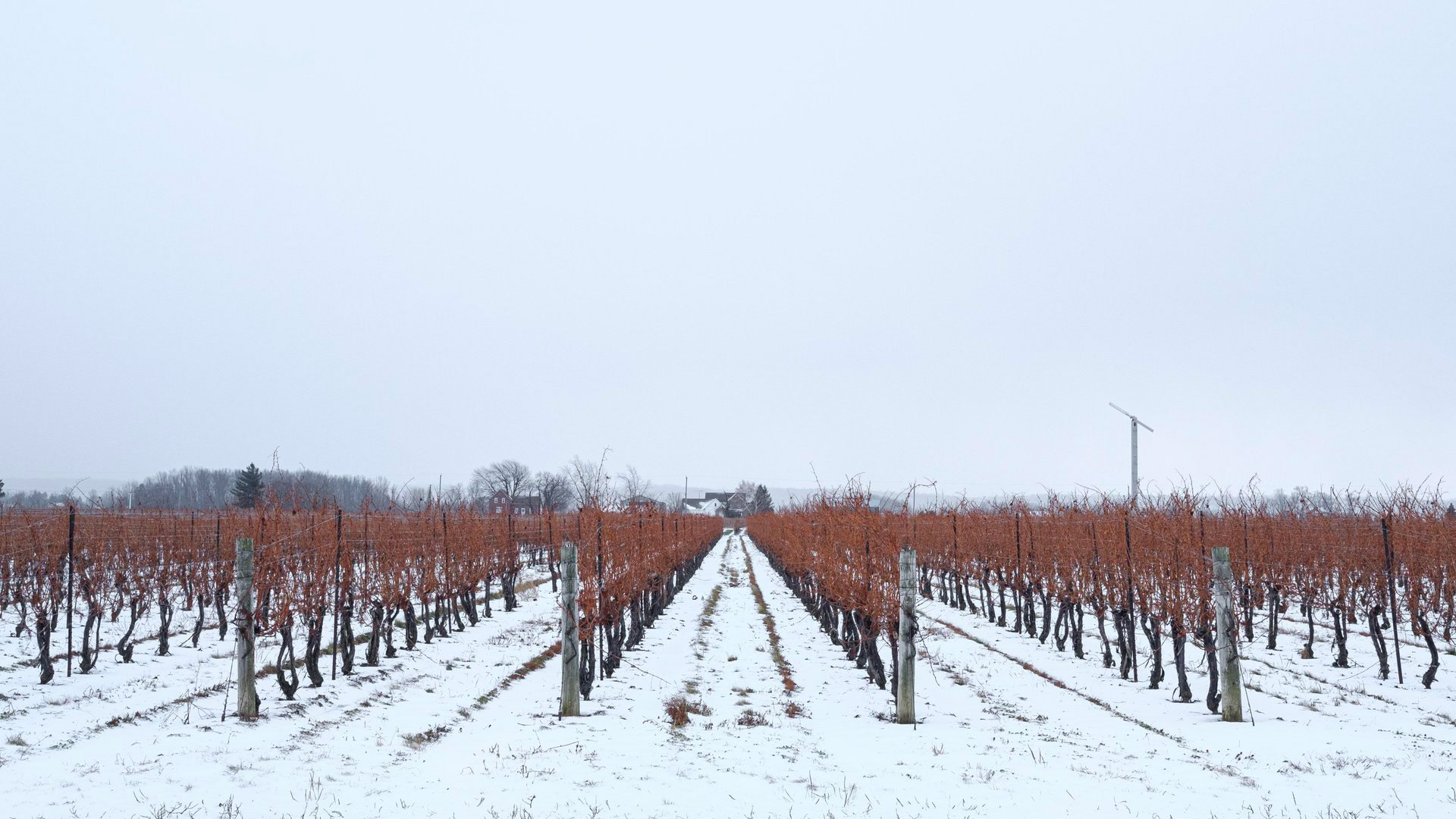 Festival du vin de glace à Niagara-on-the-Lake