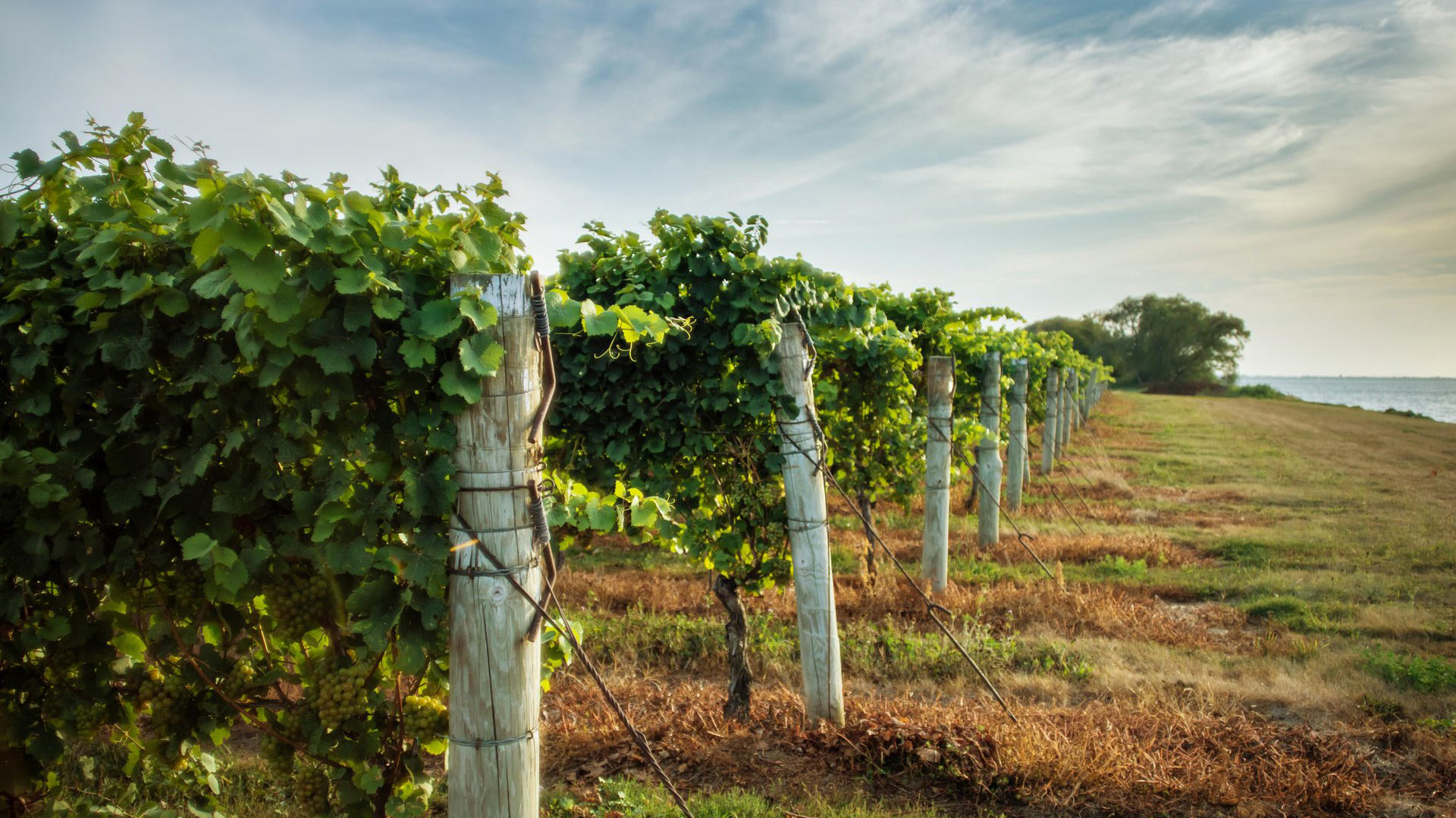 De Toronto à Niagara: Entre ville et chutes majestueuses