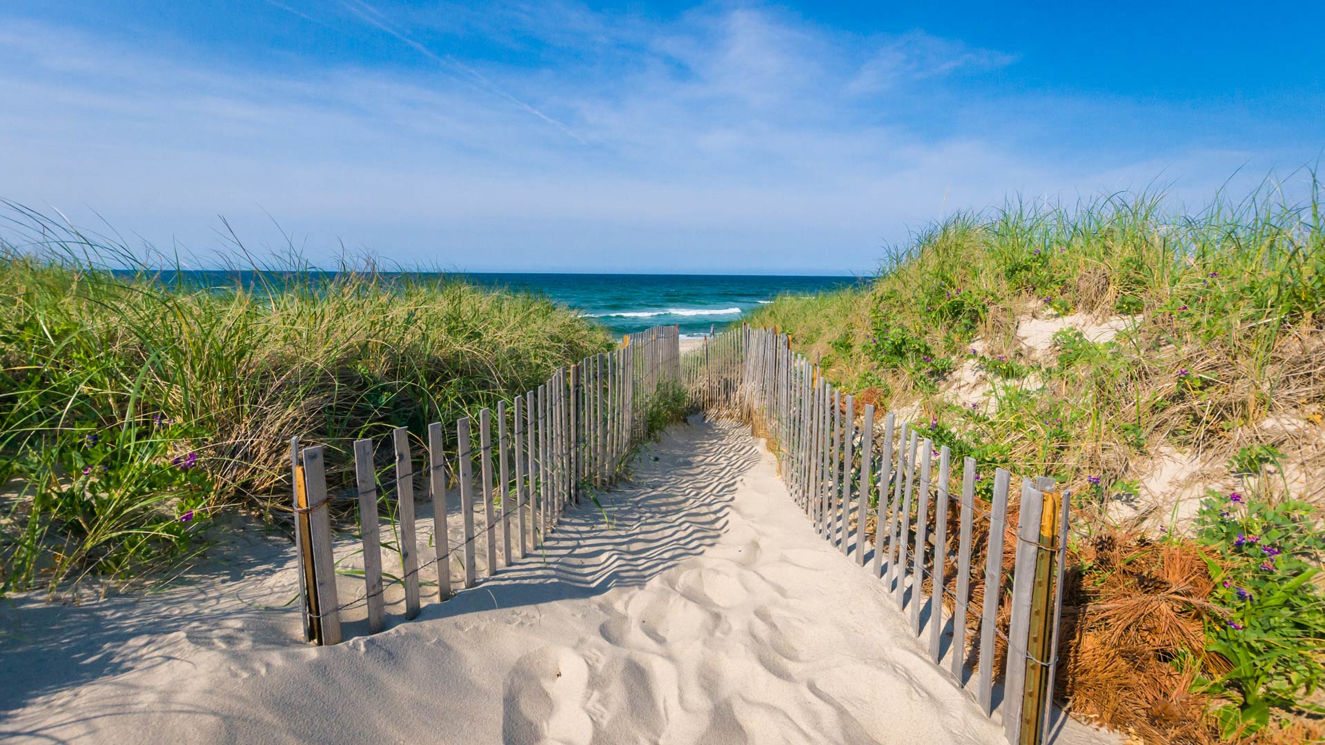 Cape Cod, Martha’s Vineyard