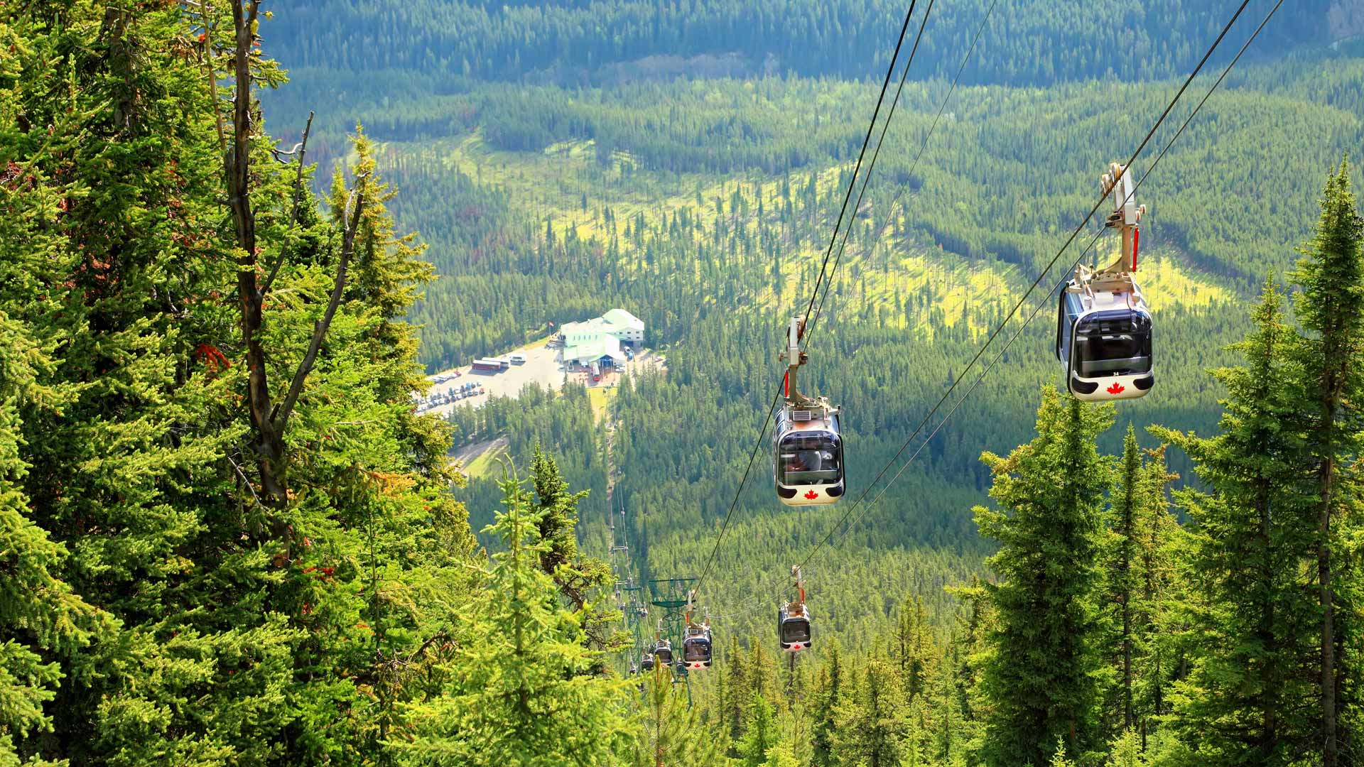 Des Rocheuses à l’Okanagan : Nature, Histoire et Saveurs