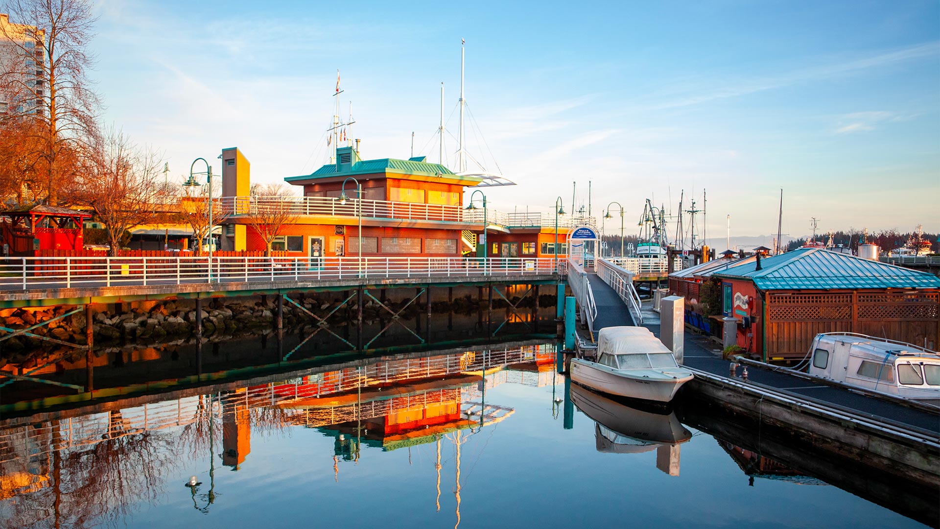 L’Île de Vancouver, parcs provinciaux et faune exceptionnelle