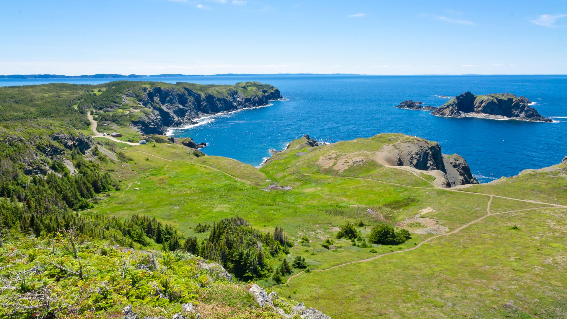 Le grand tour de Terre-Neuve-et-Labrador en autocar