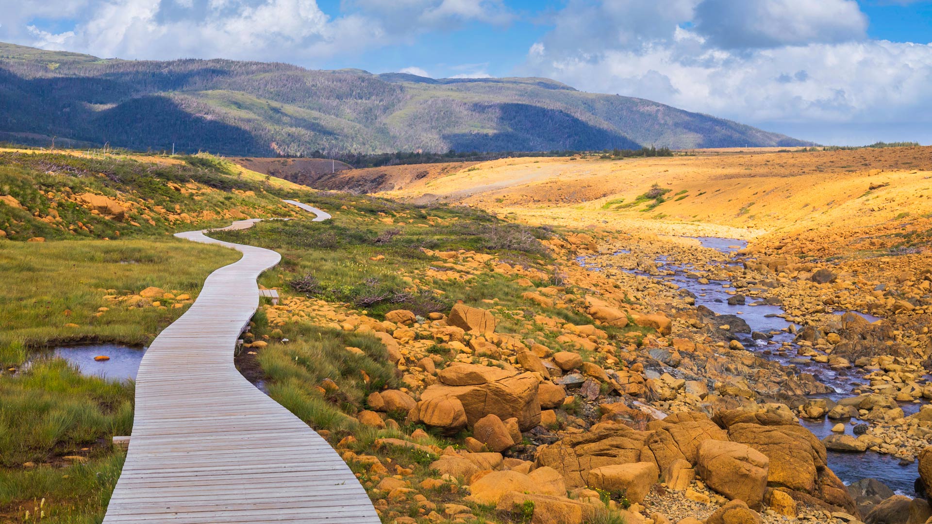 Le grand tour de Terre-Neuve-et-Labrador en autocar