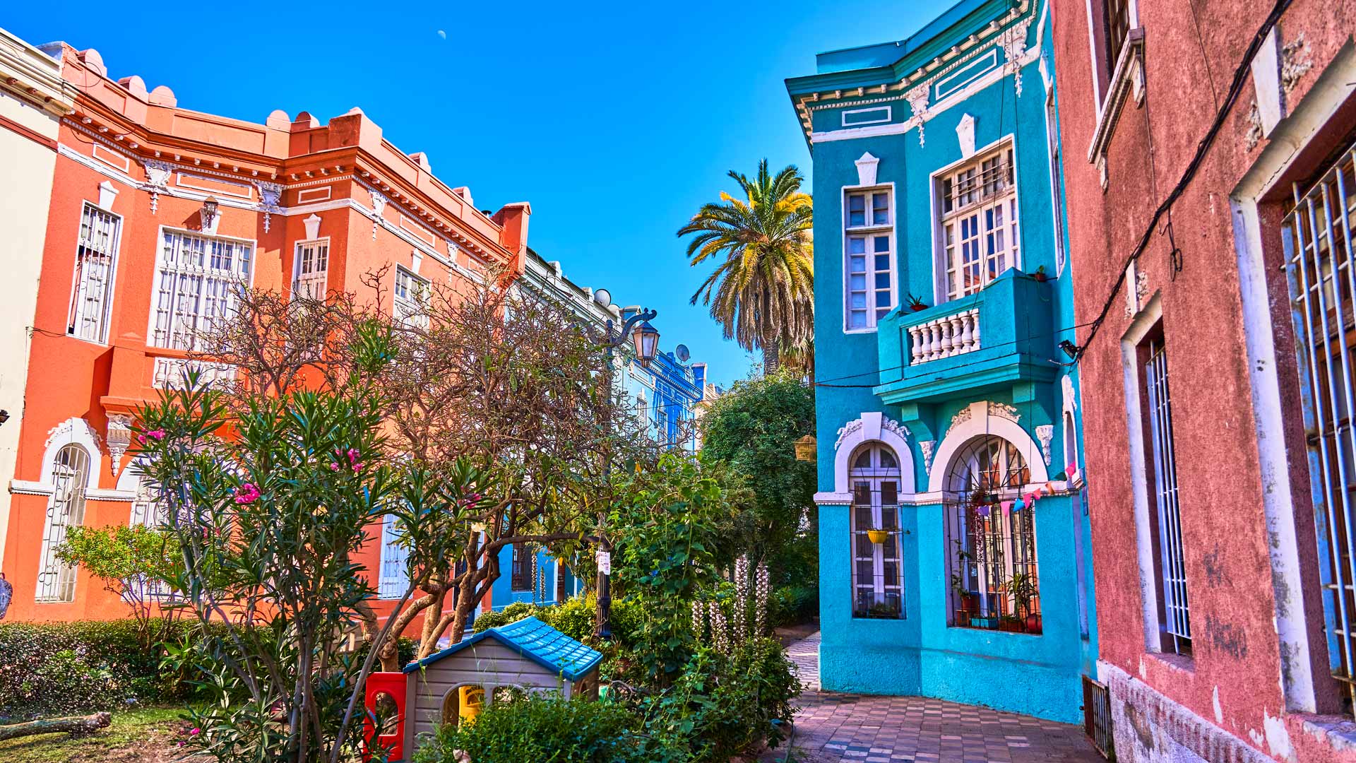 Croisière en Amérique du Sud