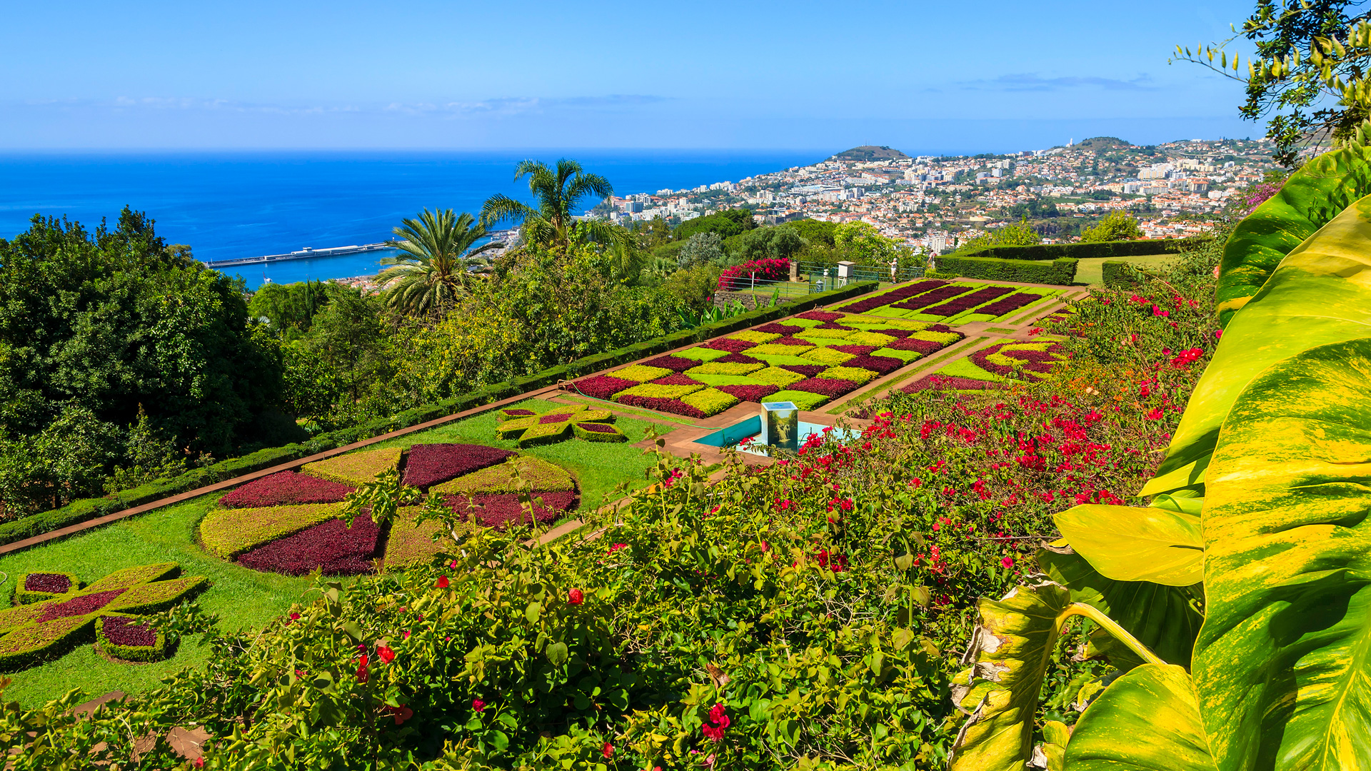Découverte des Îles Canaries en croisière