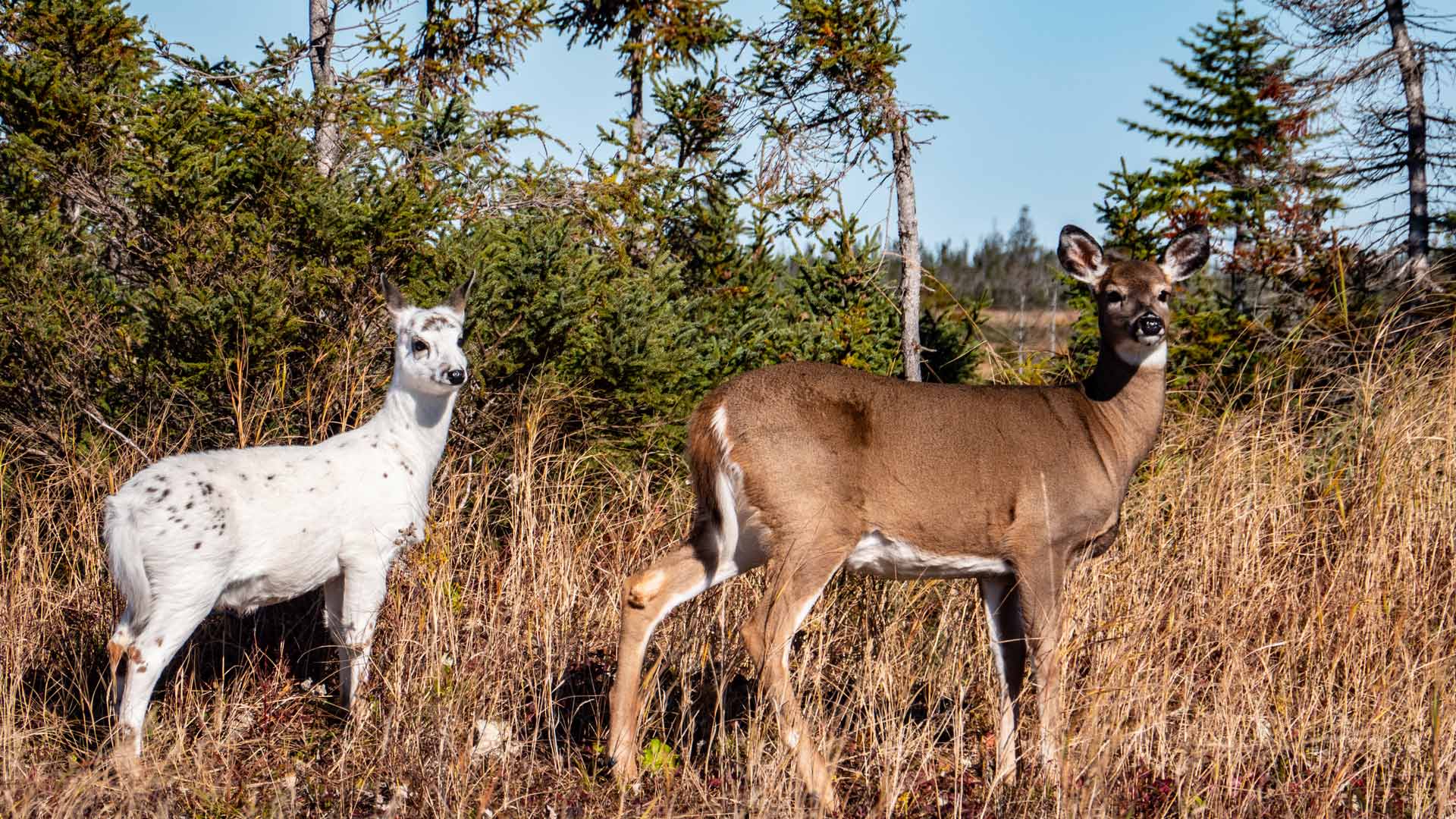 Nature et photographie à l