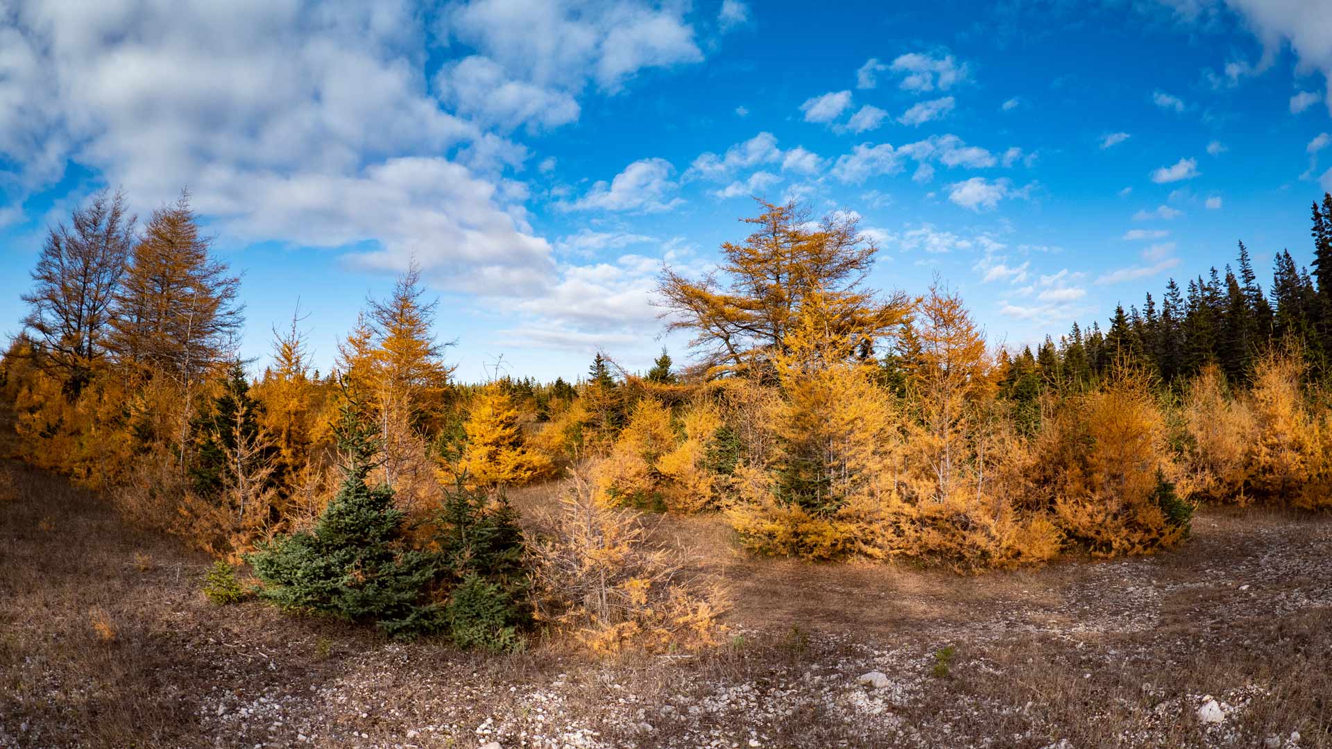 Nature et photographie à l