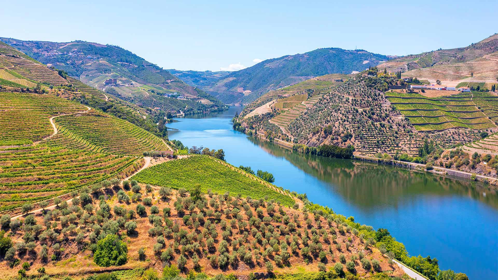 Bateau privatisé: Lisbonne, Porto et croisière au coeur de la vallée du Douro