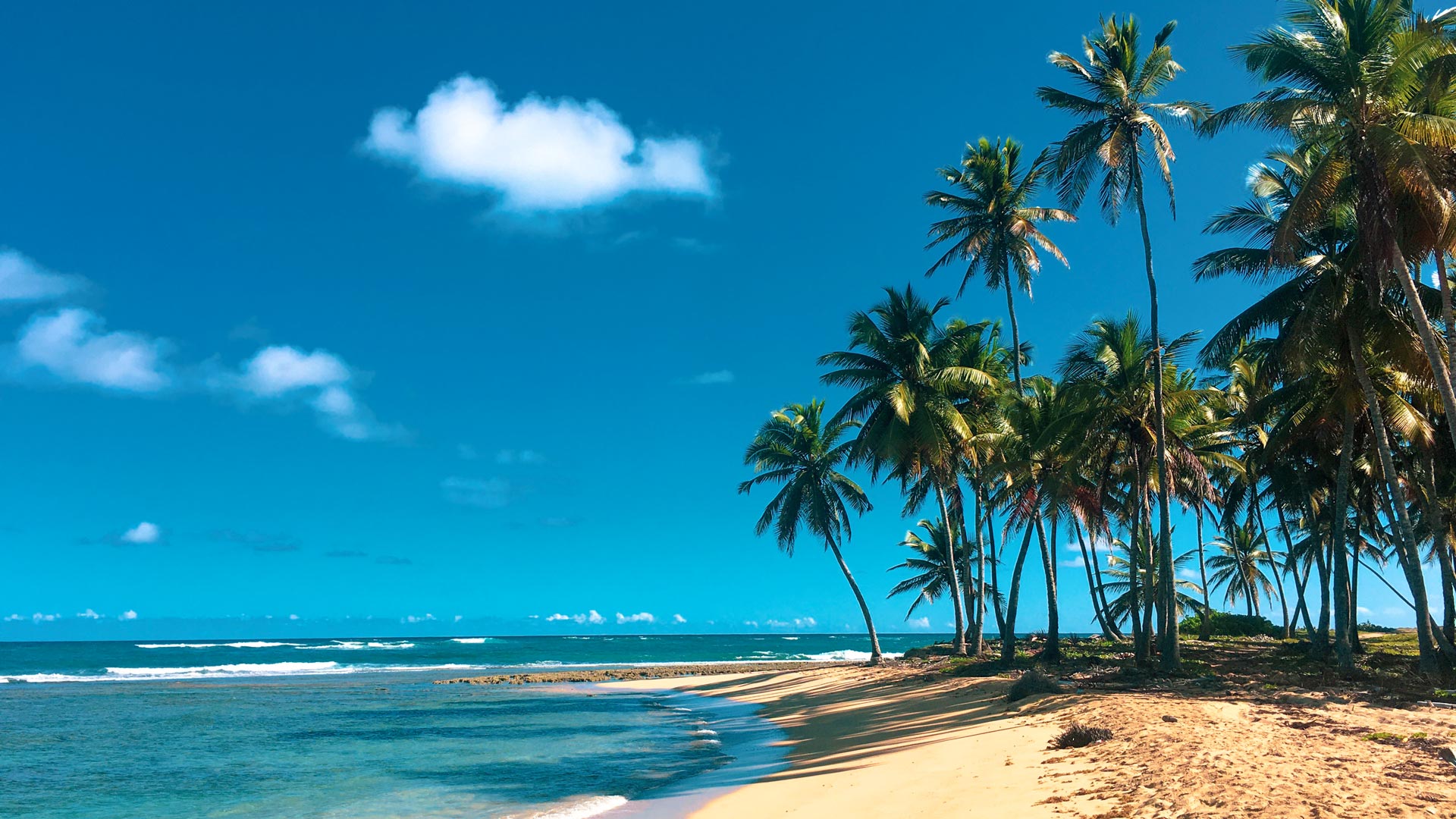 Croisière dans les Caraïbes du Sud au départ de Miami