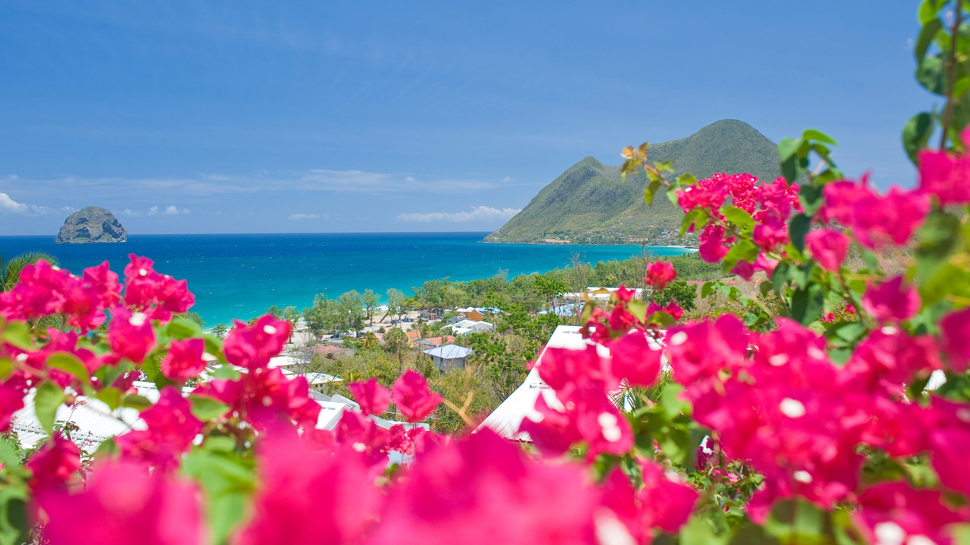 Séjour en Martinique et croisière dans les Caraïbes