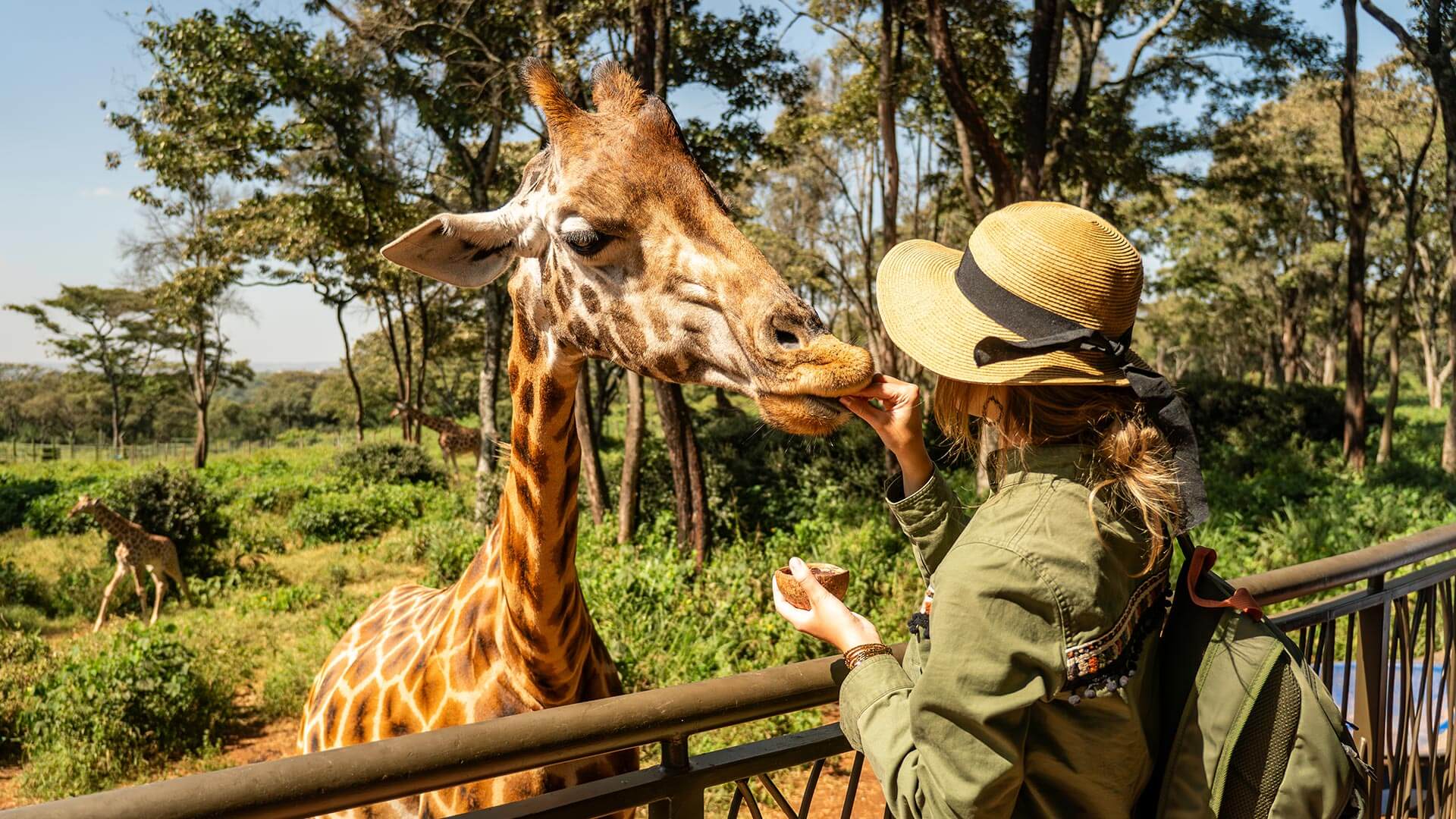 Kenya - Safaris entre lacs et savanes
