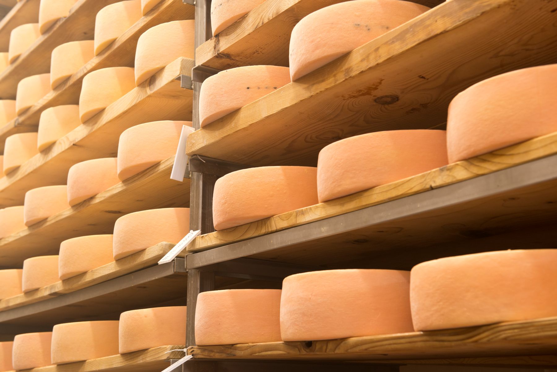 Les trésors gourmands de Portneuf