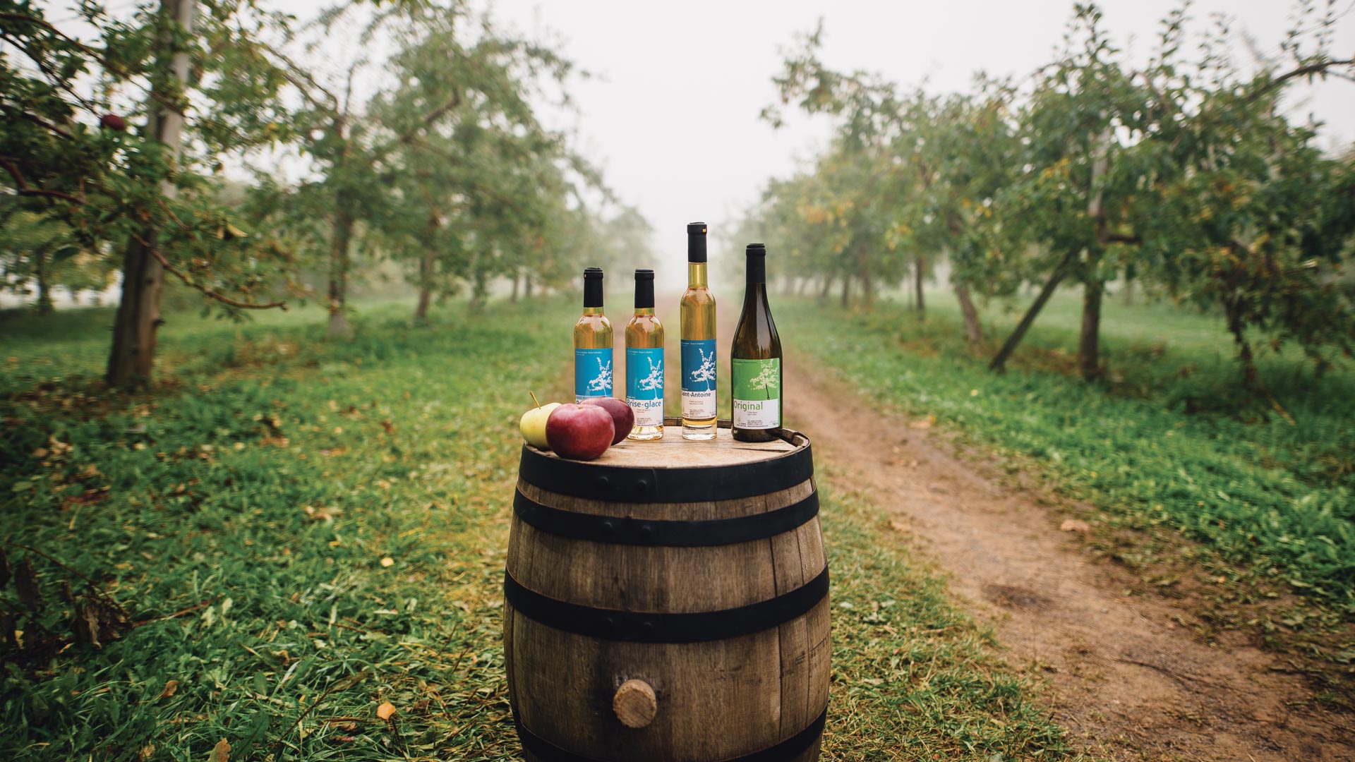 Entre fleurs, histoire et cidre