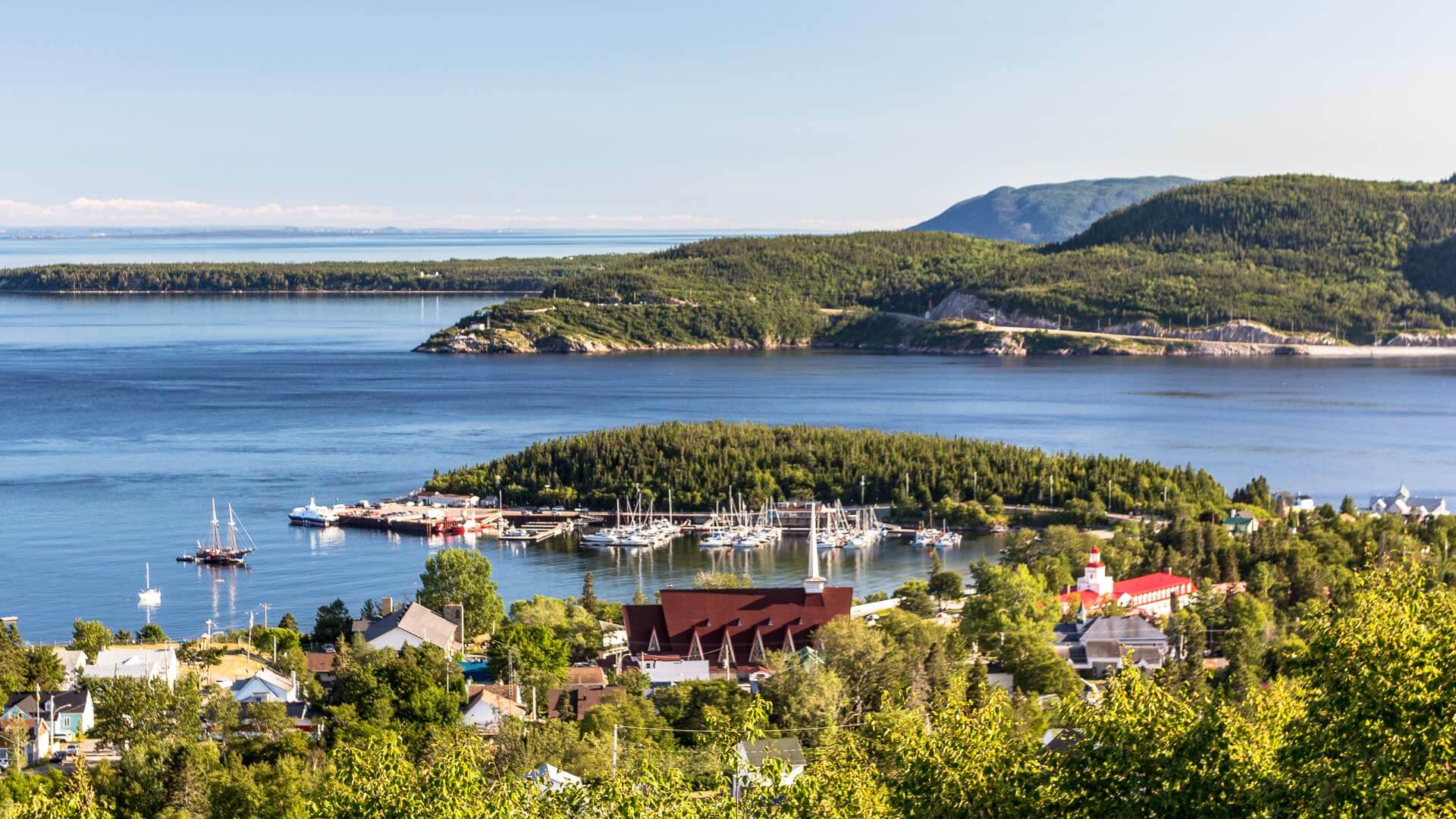 La découverte du Fjord et du géant des mers